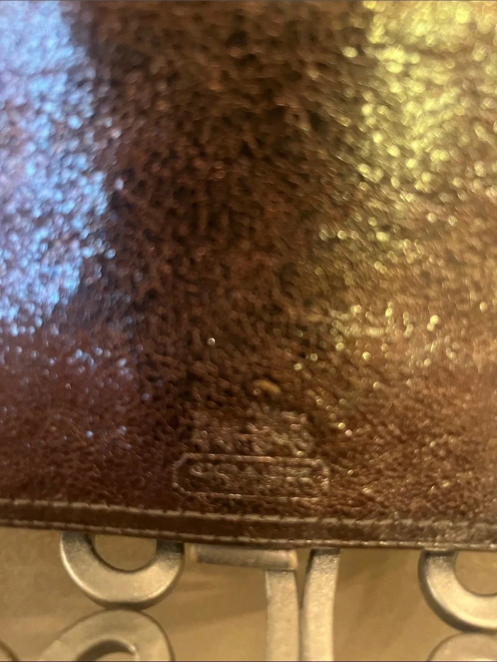 Coach Iridescent Metallic Wallet with Checkbook Cover